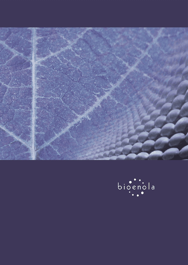 BioEnola - Druki Ulotne - Wojciech Zych